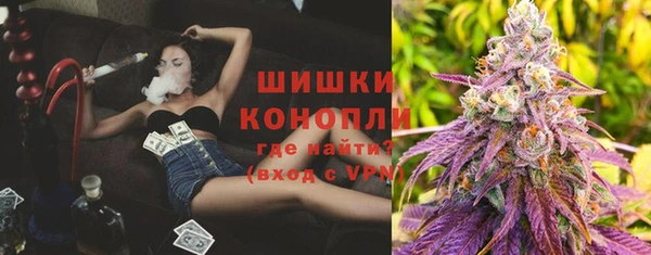 дживик Семилуки