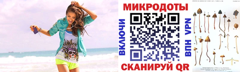Псилоцибиновые грибы Magic Shrooms  Кедровый 