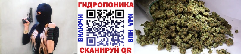 купить наркотик  Кедровый  Бошки марихуана Ganja 